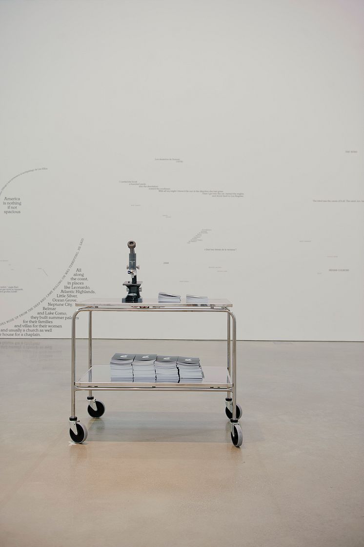 The Spiral and the Square, Natascha Sadr Haghighian, The Microscope, 2006