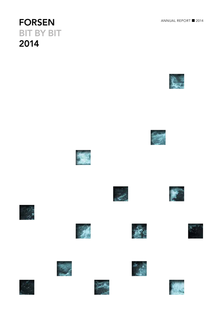 Forsen Annual Report 2014