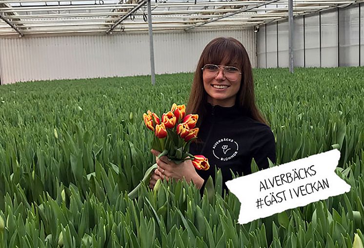 Gast-i-veckan_NY_Alverbacks_blommor_Amanda_MND_900_600