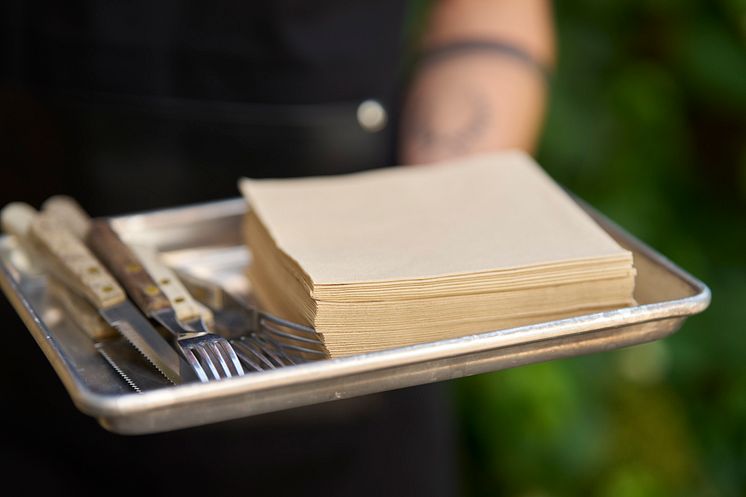 2025_DUNI_Natural Brown_Napkin_0867.jpg