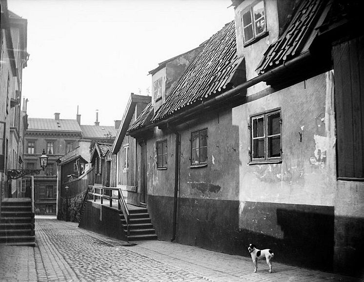 Kattgränd