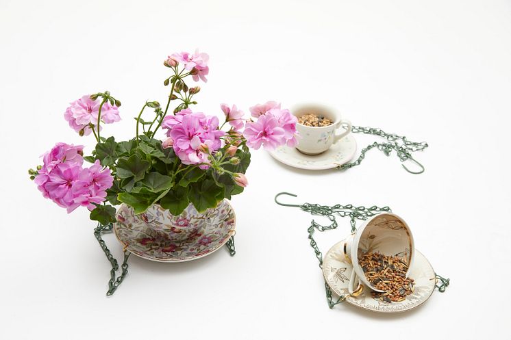 2022_Geraniums_5060_DIY_Blooming_Bird_Feeder_Teacups_06