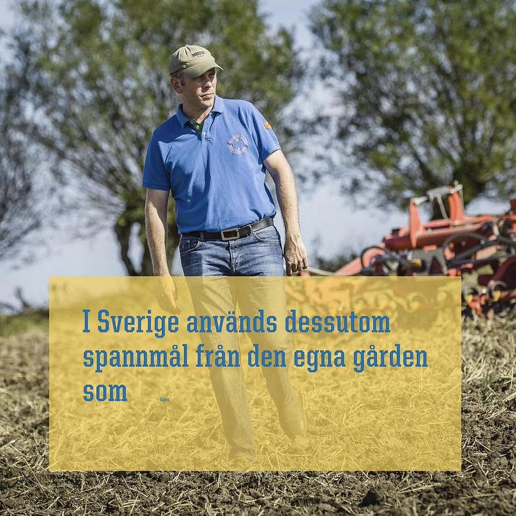 Klimatsmart svensk kyckling