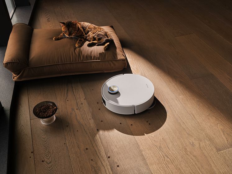 Pet Zone Cleaning Customization 2.0.jpg
