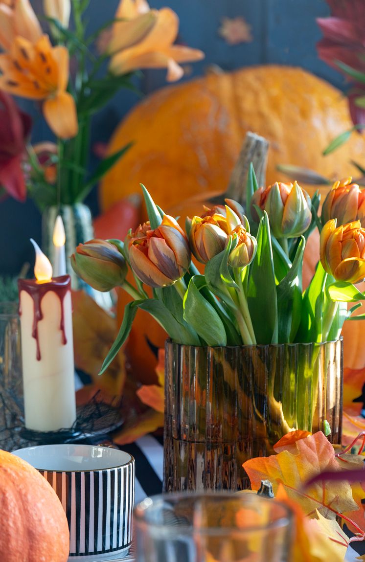 Halloweenfest med tulpaner och pumpor i dukning