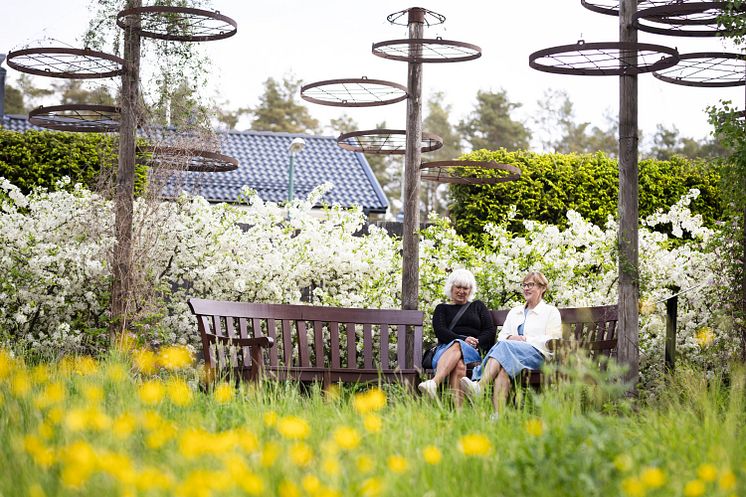 Springkällan -  Fotograf Simon Palerbro (2).jpg