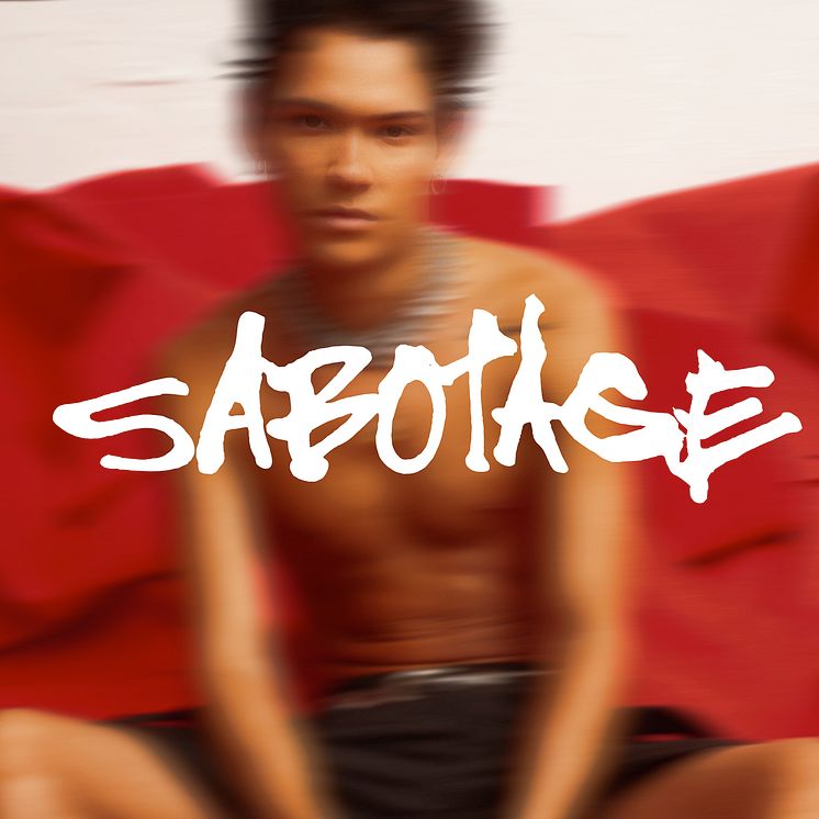 SABOTAGE COVER