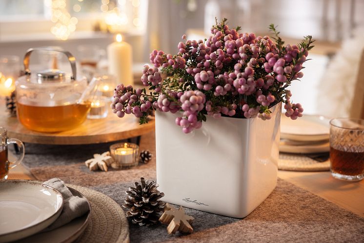 LECHUZA_Weihnachten_2024_6900.jpg
