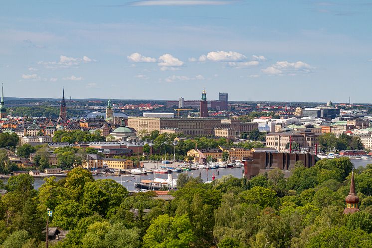 Skansen-JonathanLundkvist.jpg