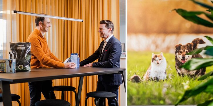Vd Patrik Niklasson med medarbetare på PPF
