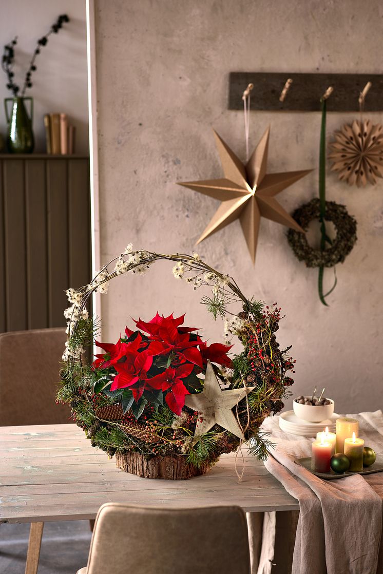 Julblommor_2024_klassiska