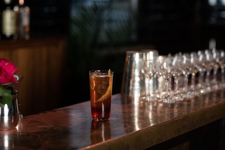 Negroni & Tonic 2