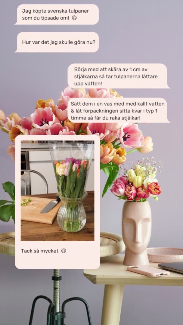 Annons tulpaner_SoMe_skötselråd_1_9x16.mp4