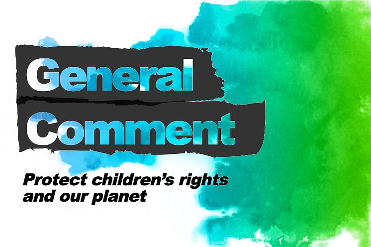 General-Comment-2.jpg
