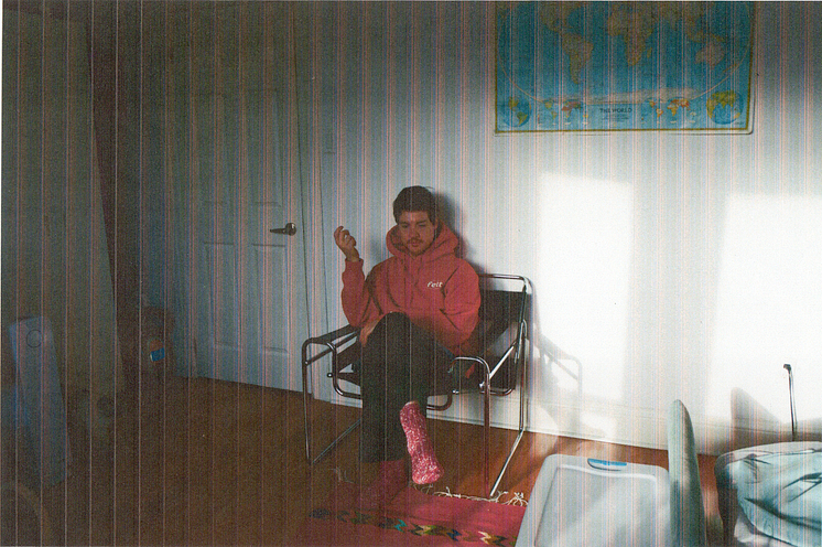 Homeshake - pressebillede .png