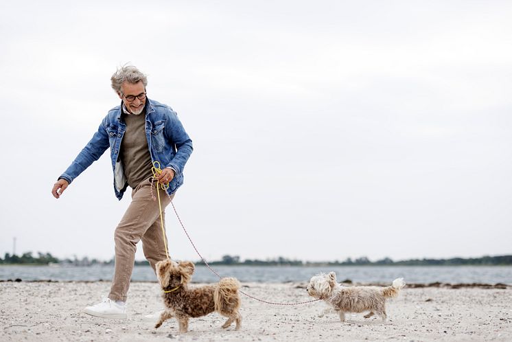 Urlaub mit Hund