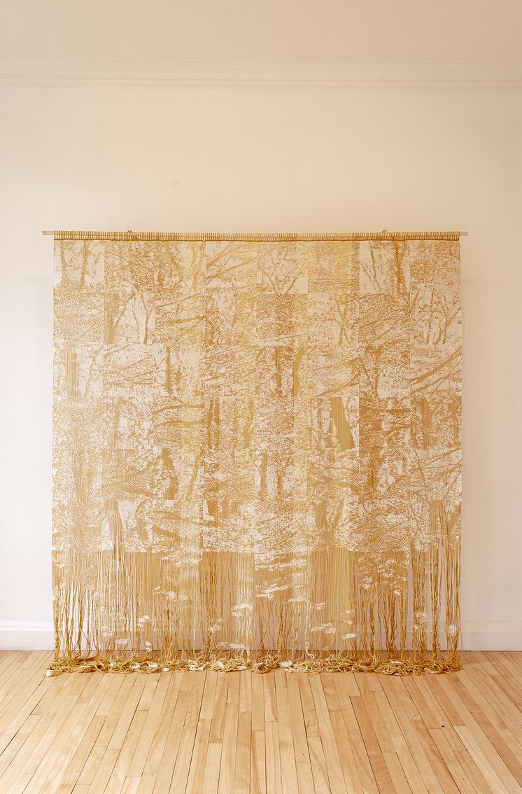 SOMMERSKOG_SUMMER IN THE WOODS - Inverleith House Gallery 2019 (foto MW).jpg