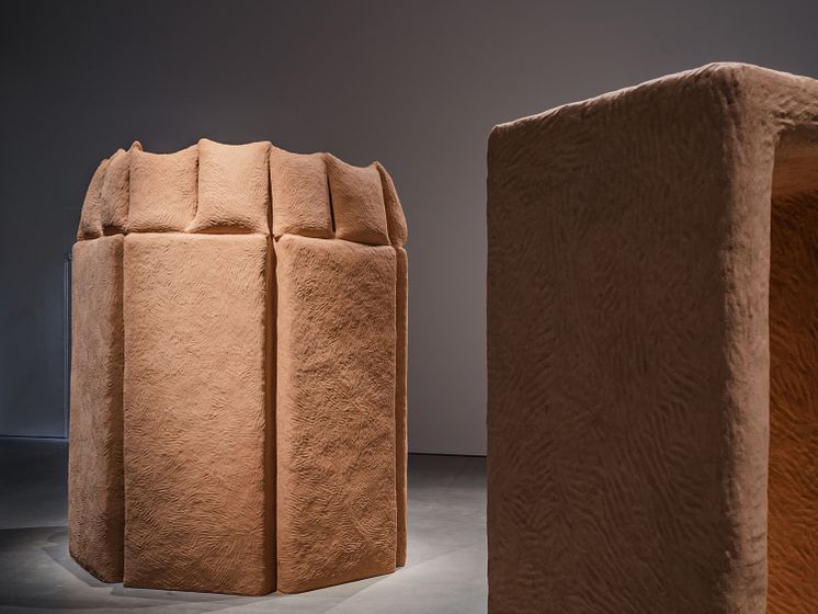 Narges Mohammadi, Attempts for Refuge, 2021