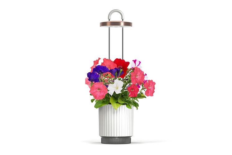 HydroVase-hires-9.png