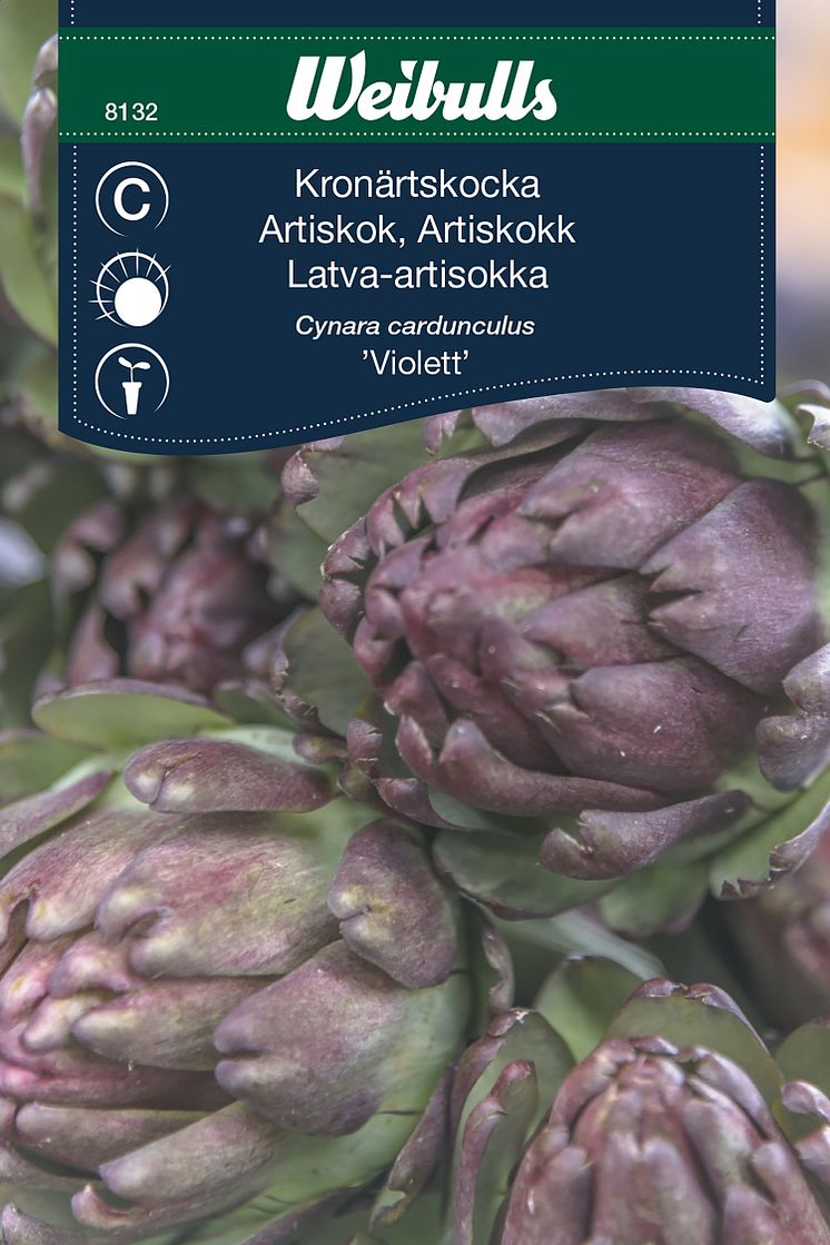 8132_kronärtskocka_violett.jpg