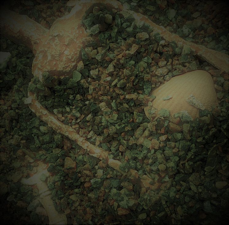 Sediment 1-marie holmgren-ewa brodin