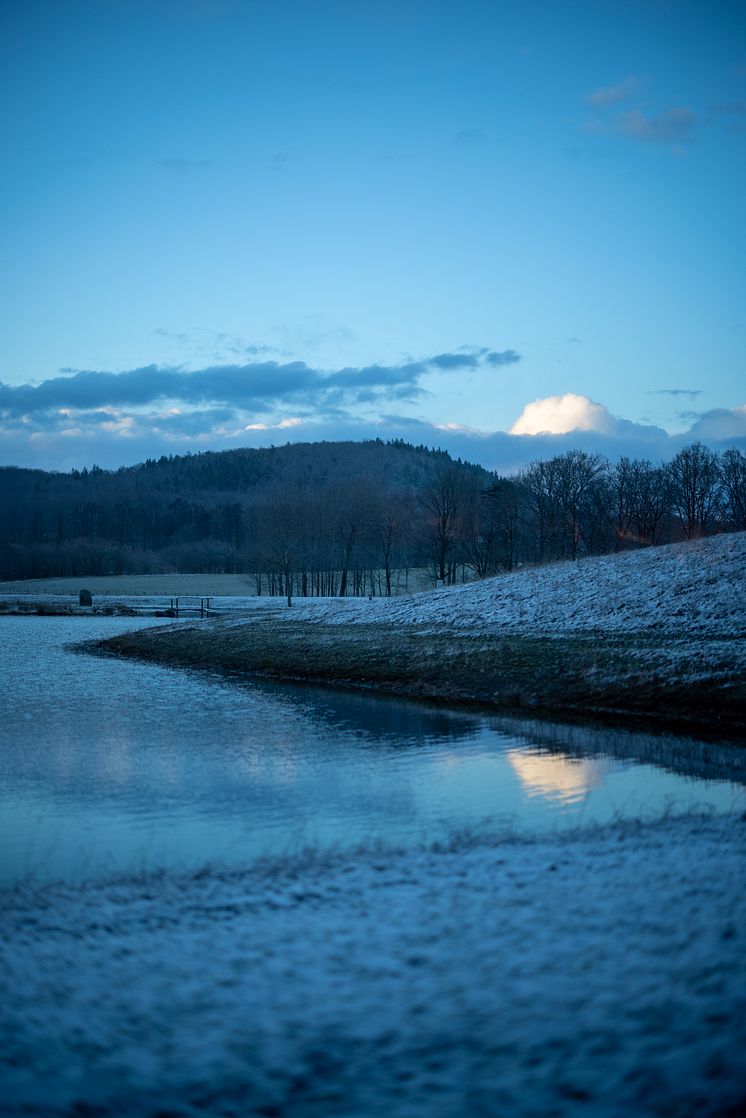 ÄNG_RD08-236