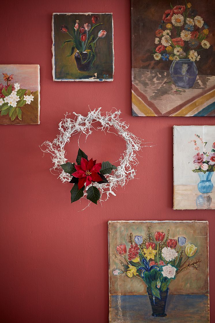 Den heliga nattens blomma - julstjärnan och dess mexikanska arv