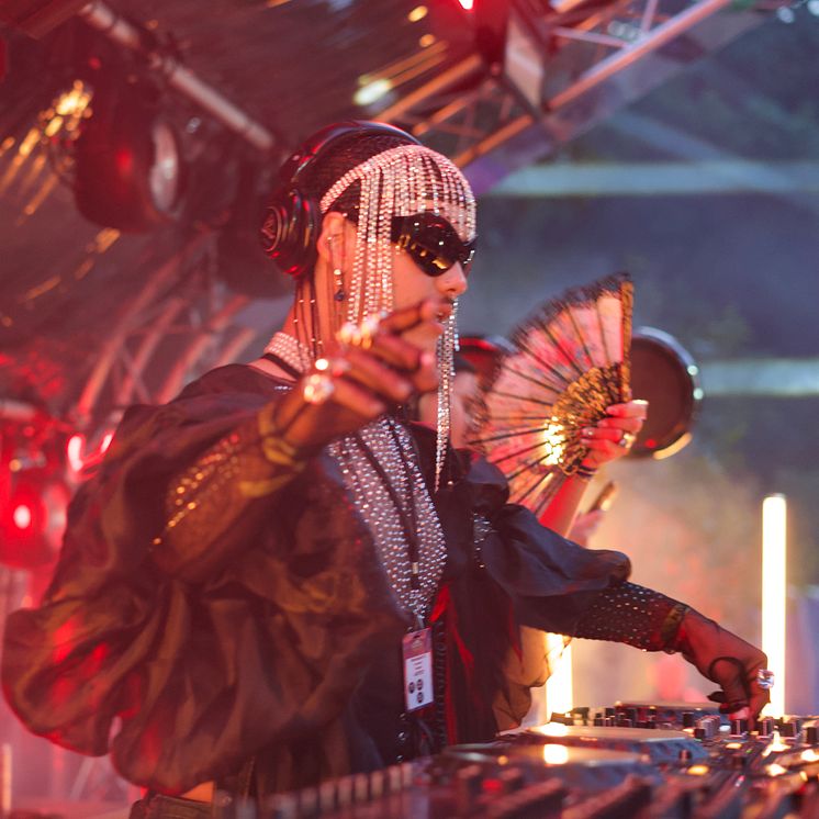 DJ Mamdouh 313.jpg
