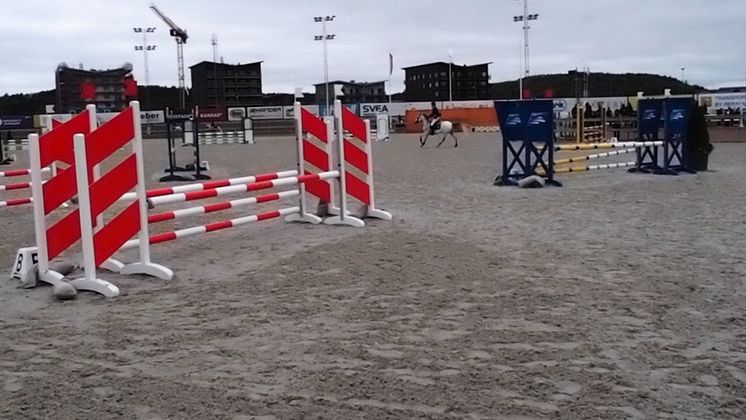Ponnyhoppning
