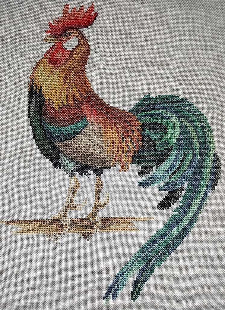 CLARA WAEVER broderad tupp.jpg