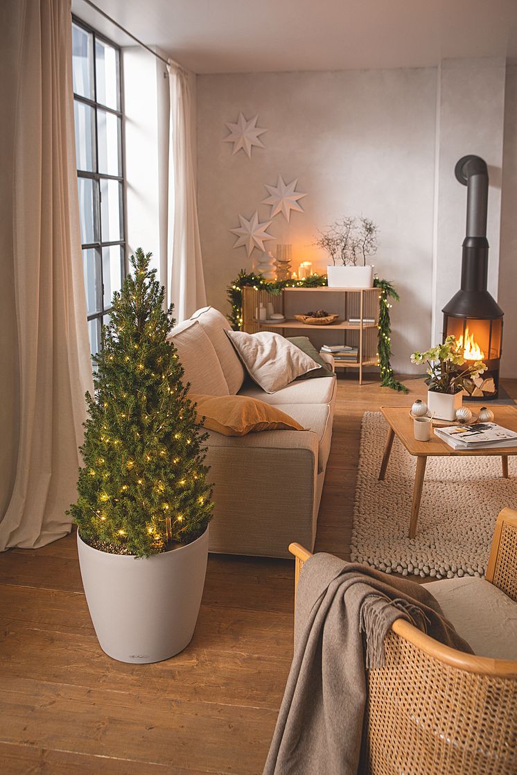 Weihnachten mit LECHUZA_CLASSICO_Color_60