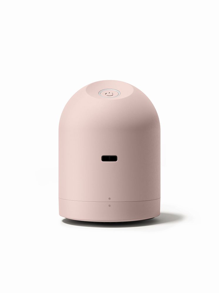 Pilo2_Rose on white_back.jpg