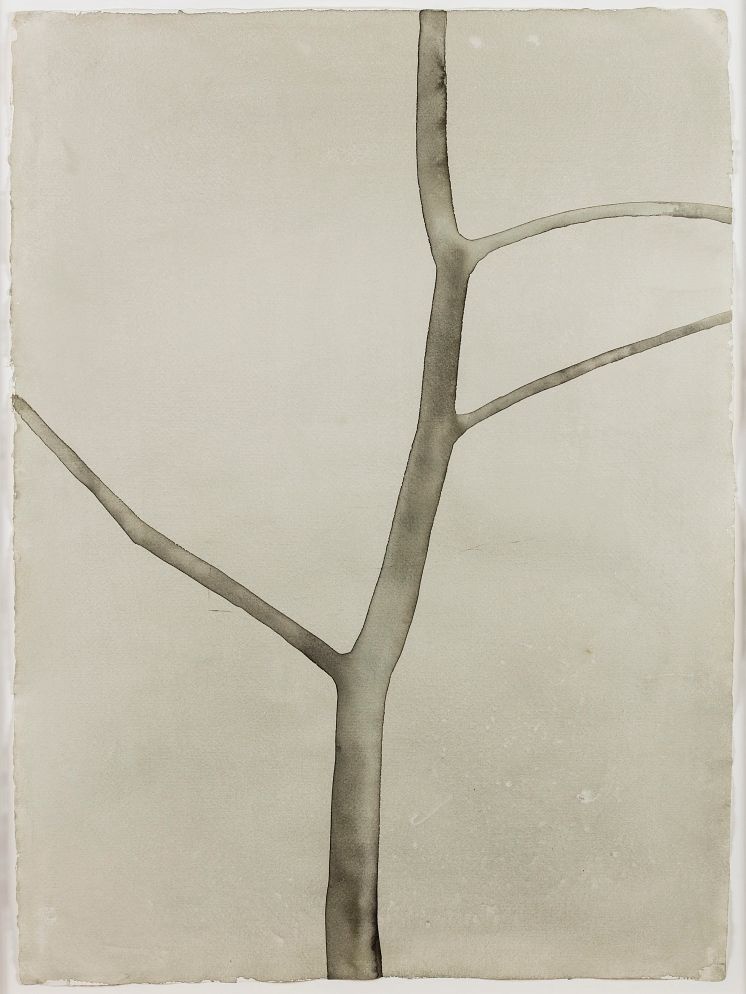 Mats Gustafson, Tree I, 2003, akvarell på papper