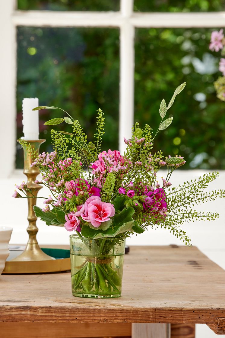 Pelargoner39_2024