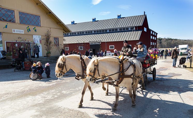 Häst och vagn runt godset