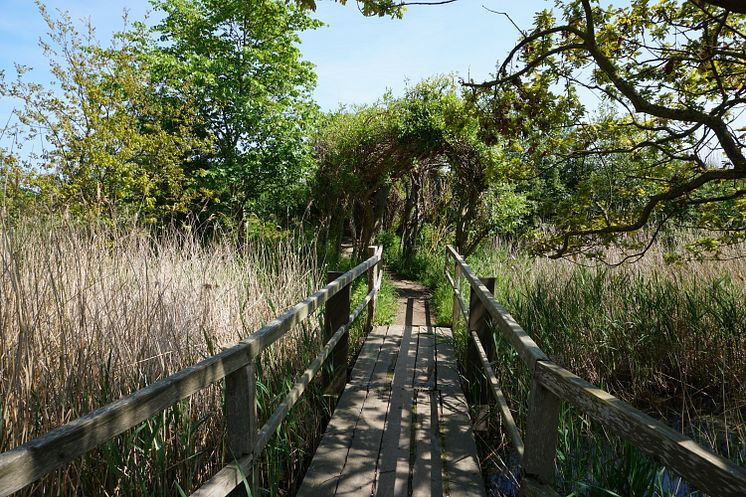 NABU Wasservogelreservat Wallnau
