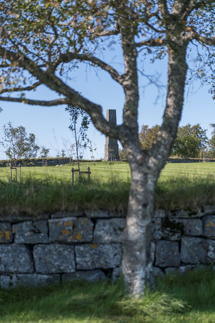 War Cemetery at Tjøtta in Nordland county 