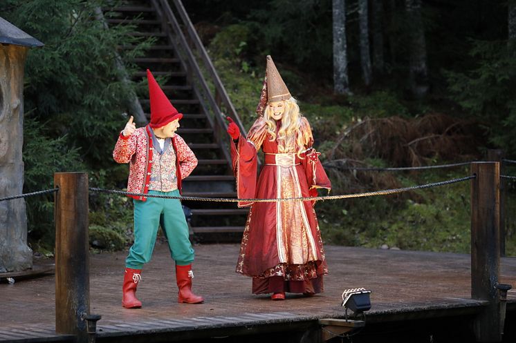 Sagofén och skogstomten Torgil 