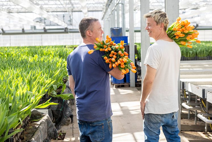 Olles Blommor