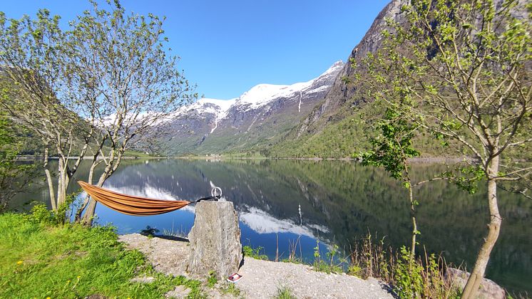 Hengekøye