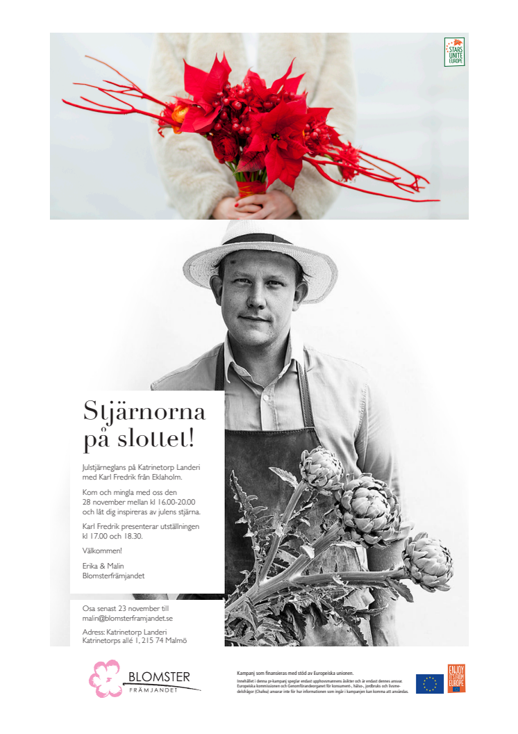 Pressinbjudan: Stjärnorna på Slottet