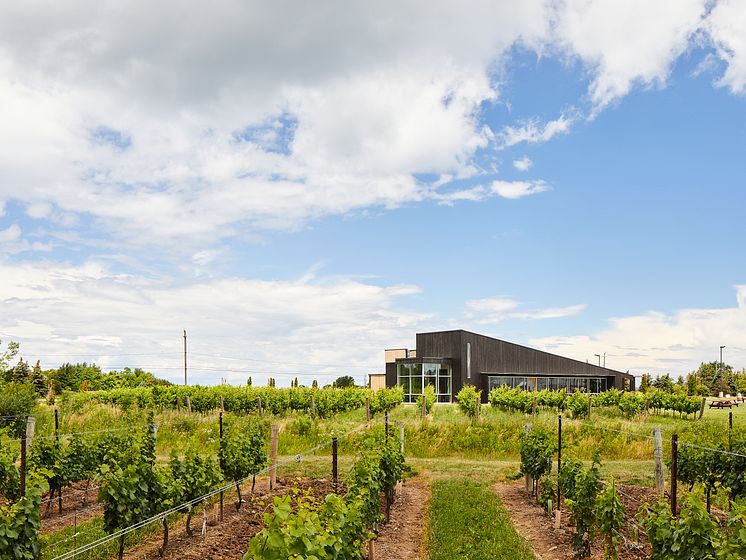 021-Thier Curran Lakeview Winery_(c)Diamond_Eastates.tif