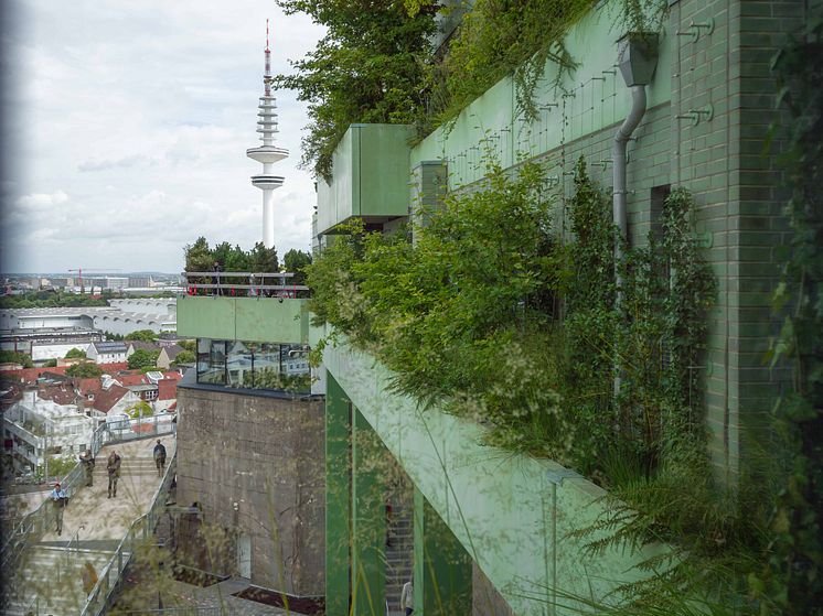 Blick aus dem Hotelfenster.jpg