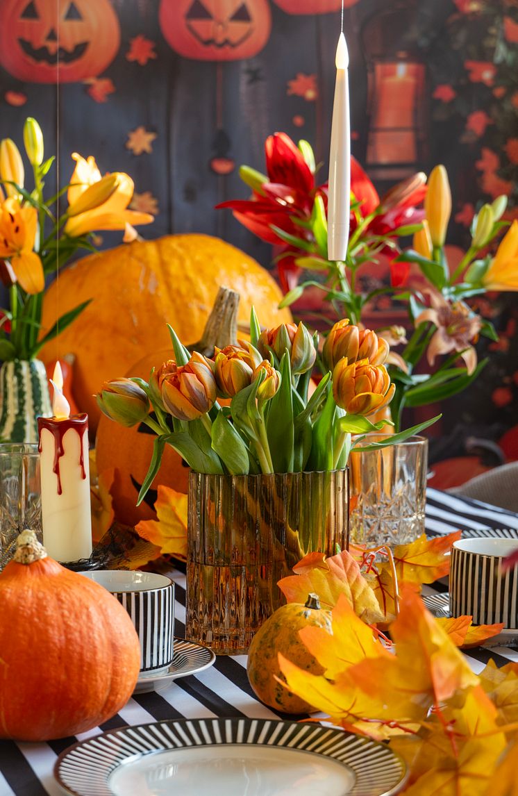 Halloweenfest med tulpaner och pumpor i dukning
