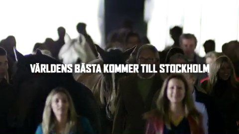 Alla hästar 20 s