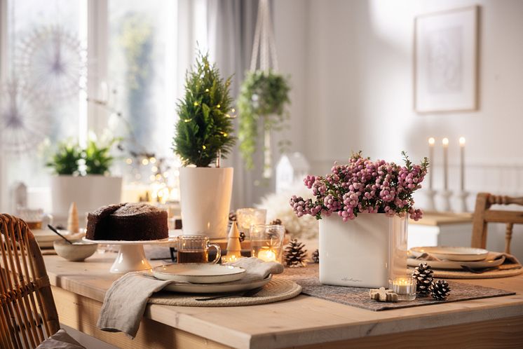 LECHUZA_Weihnachten_2024_6824.jpg