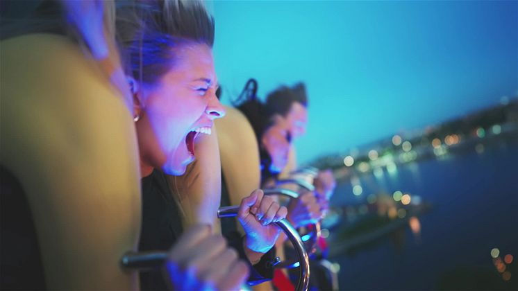 Night_Rider_15_sek.mp4