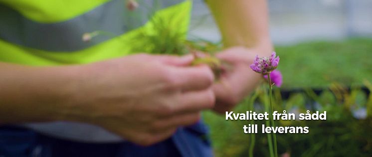 Veg Tech - tillsammans mot en grönare värld