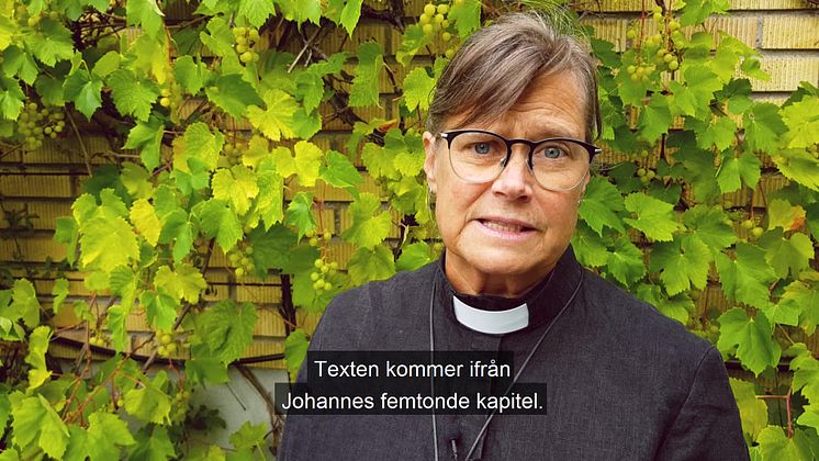 Böneveckan 2021