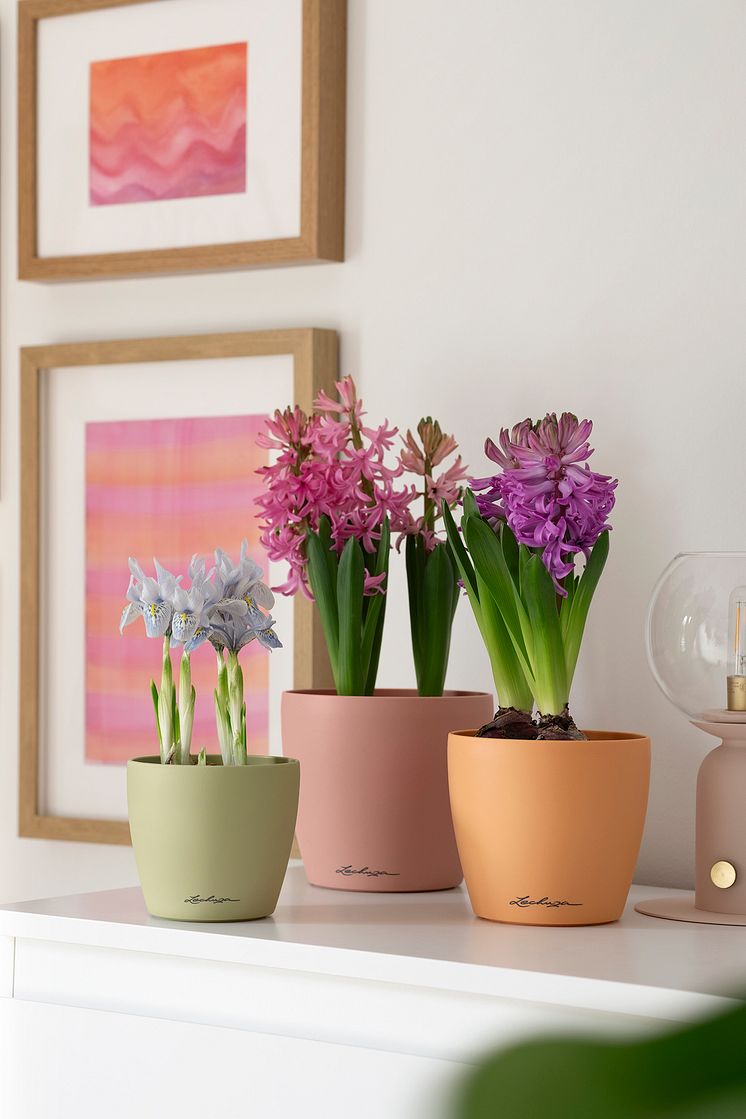 Mit Trendfarben in den Frühling